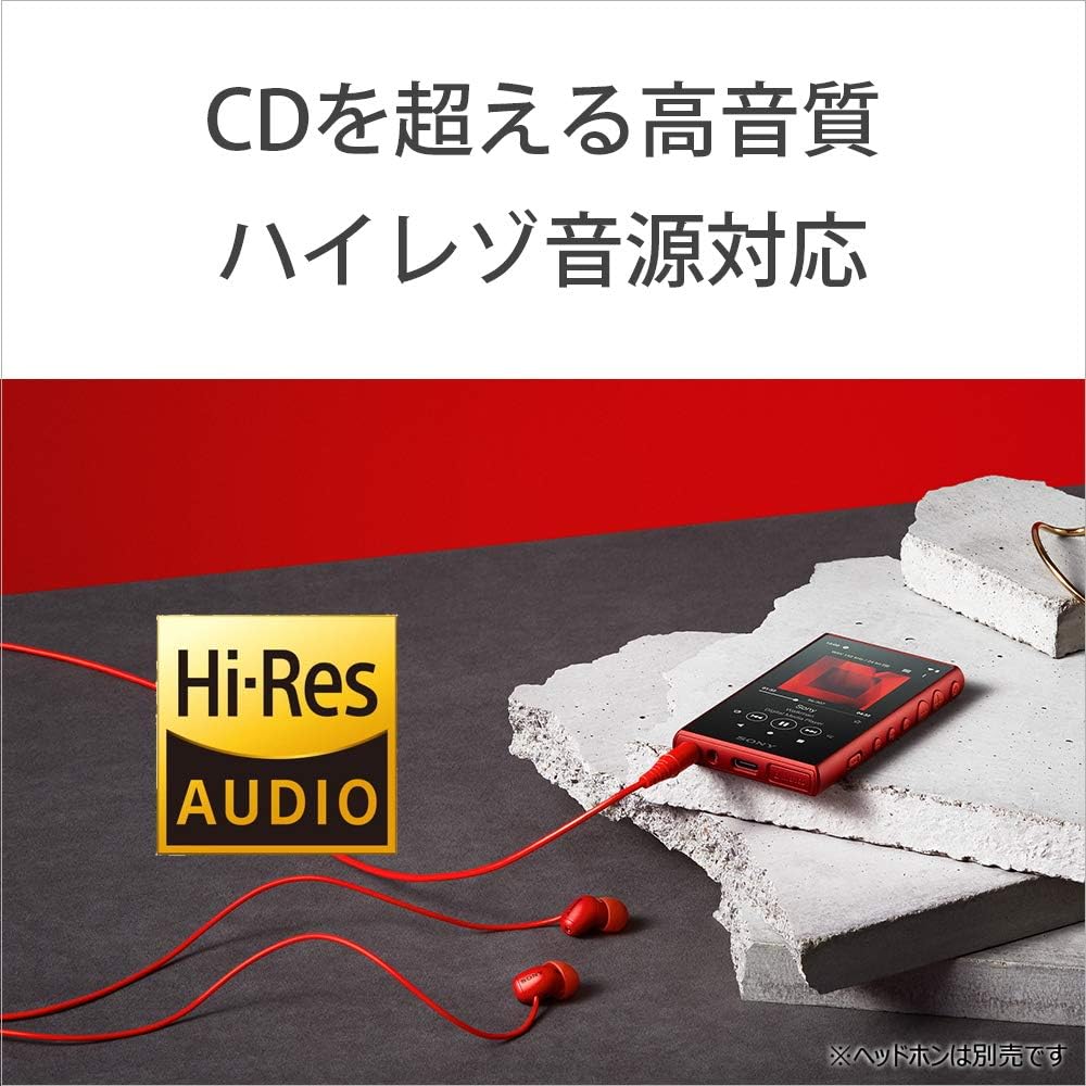 Sony NW-A106 Walkman 32 GB A Series NW-A106 : High India | Ubuy